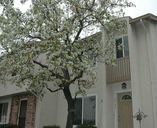 another view of front exterior