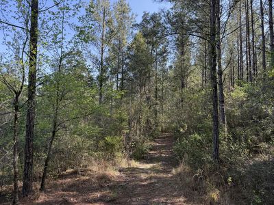 Douglas Ferry Rd, Caryville, FL, 32427