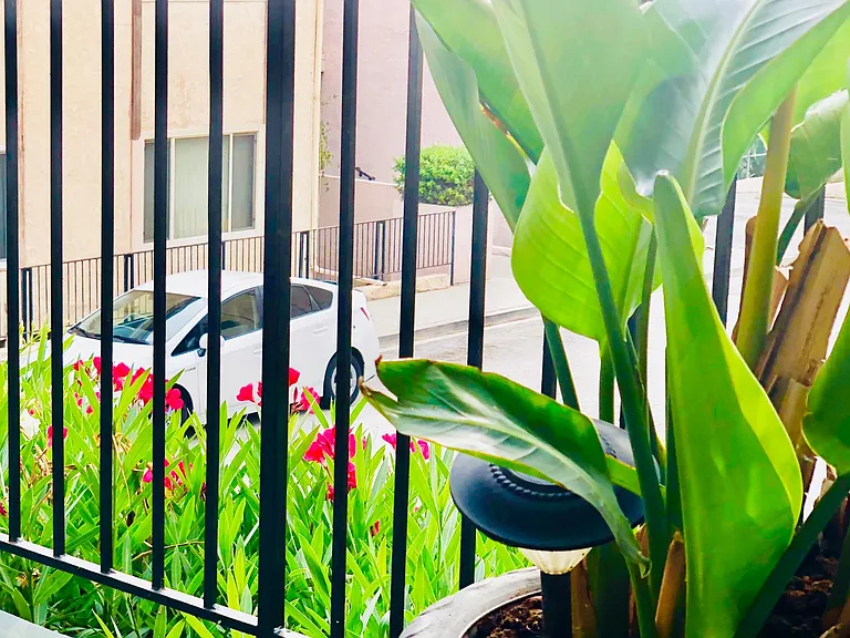 From Balcony