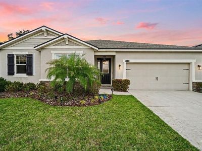 11406 Blue Woods Dr, Riverview, FL, 33569