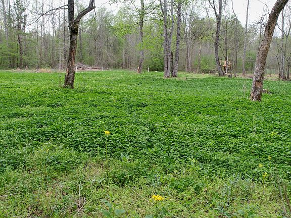 5th image of 4424 Lane Springs Rd