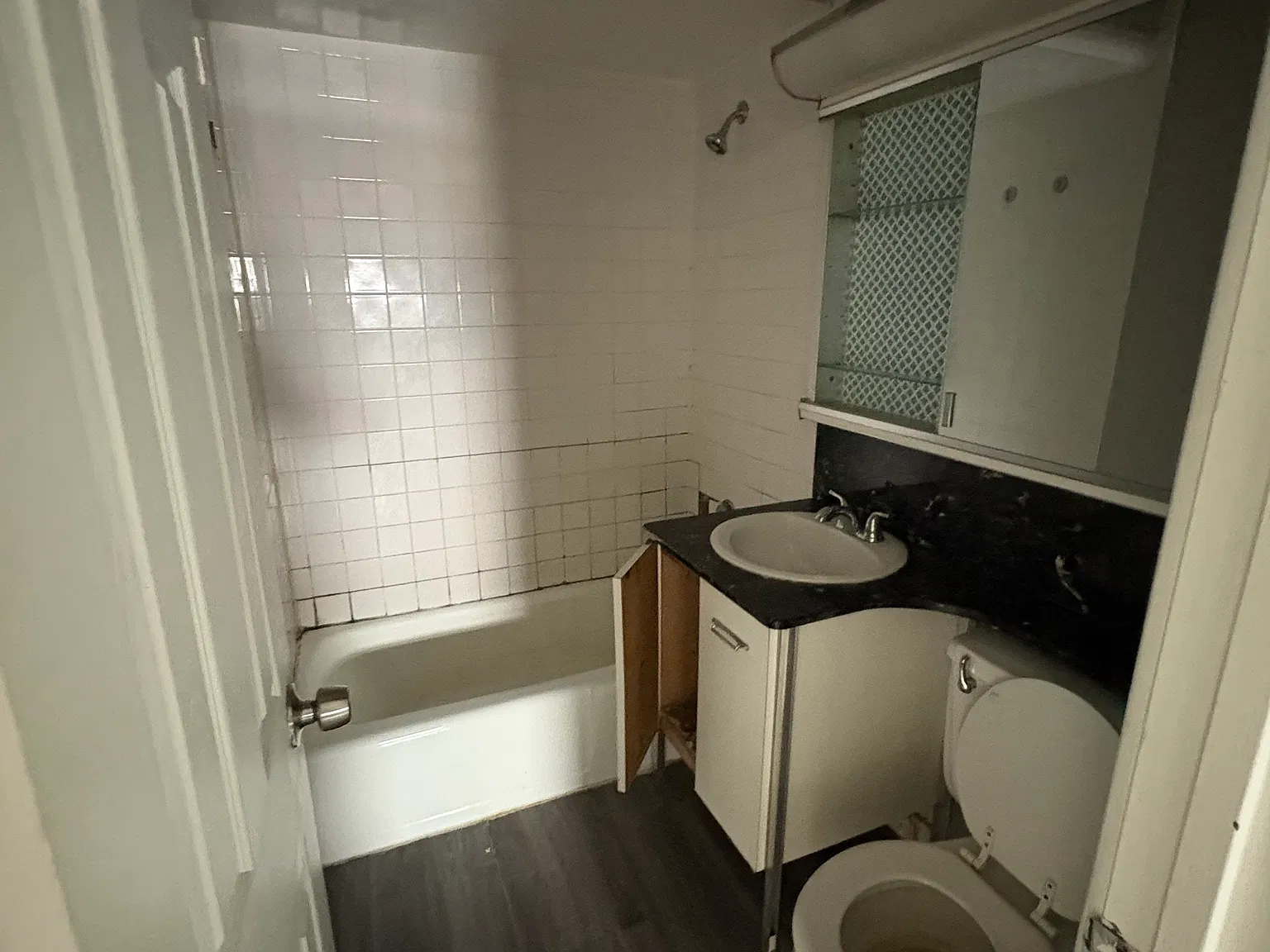 1 bed, $1,250 — Photo 3