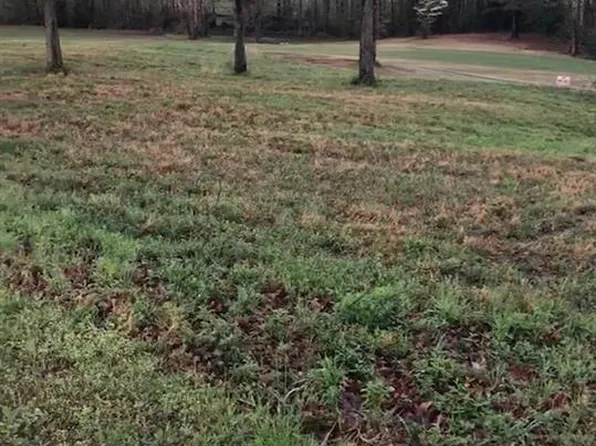 535 Golfview Ln, Decaturville, TN 38329