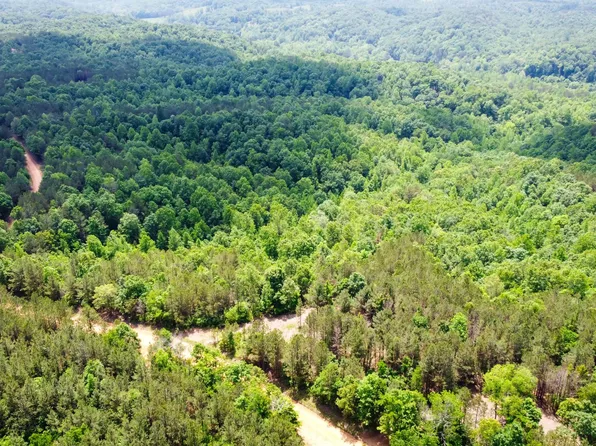 0 Old Mail Rd #27, Duck River, TN 38454