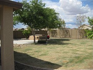 5th image of 614 E Poncho Ln
