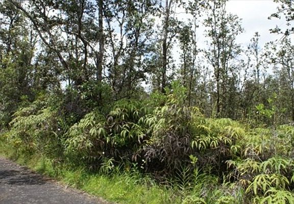 2nd image of Road 10 Poouli Lot 5680