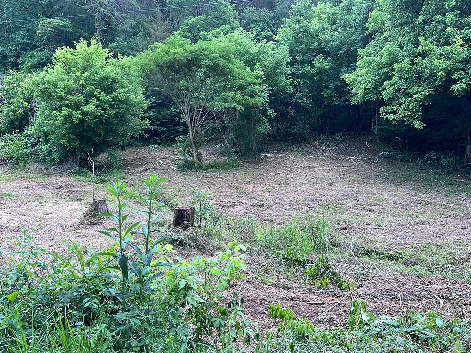 1441 Lower Caney Valley Rd, Tazewell, TN 37879 MLS 611447 Zillow