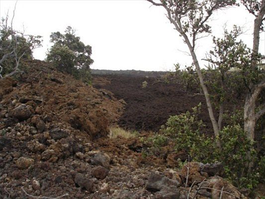 5th image of Pineapple Pkwy Lot 25