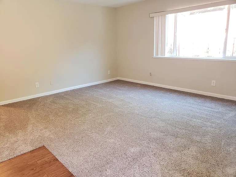 515 Kains Ave #2 — Photo 10