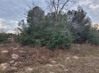 20 W Vince Pl, Citrus Springs, FL 34434