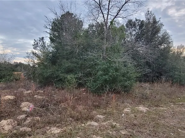 20 W Vince Pl, Citrus Springs, FL 34434