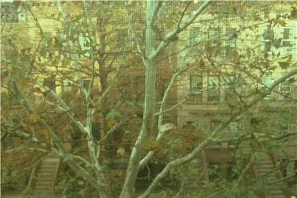 Rented by R New York | media 26