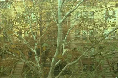 Rented by R New York