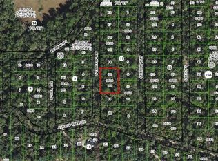 4013 S Curlew Ter, Inverness, FL 34450
