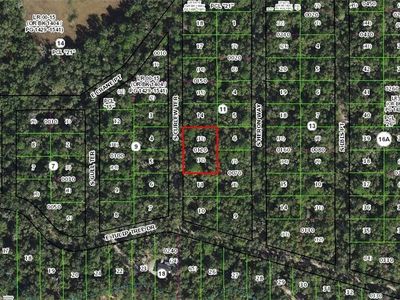 4013 S Curlew Ter, Inverness, FL, 34450