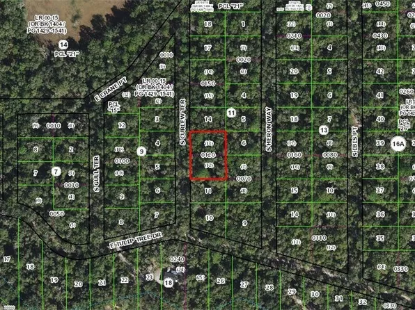 4013 S Curlew Ter, Inverness, FL 34450