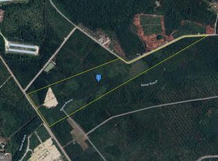 6400 Old Moniac Rd, Saint George, GA 31562