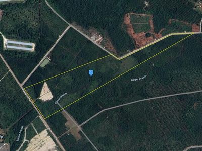 6400 Old Moniac Rd, Saint George, GA, 31562