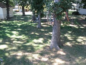 5th image of 1404 Swanhill Dr