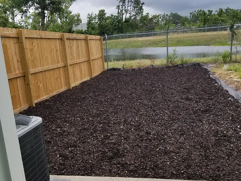 Backyard - Fence to be placed on right side of yard