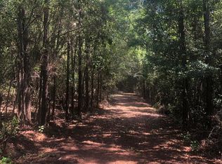 40 Hammock Rd, Carriere, MS 39426