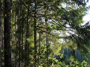 118 N Cushman Rdg, Hoodsport, WA 98548