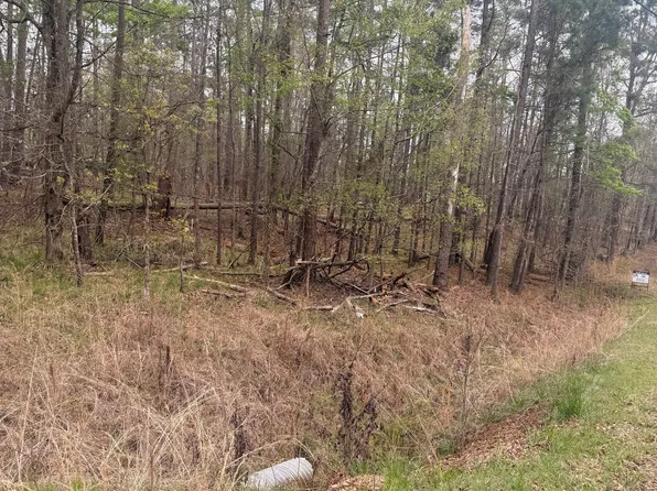 0 Rosebud Ct, Sparta, GA 31087