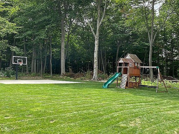 Backyard basketball court 