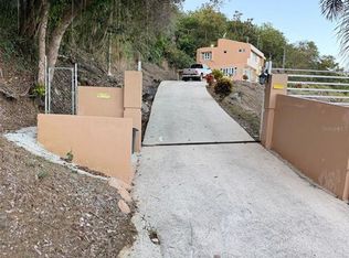 942 Bo Jaguas Lf, Gurabo, PR 00778