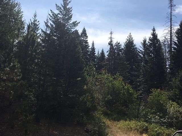 2nd image of 77757 Honeysuckle Ln