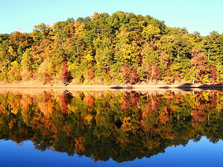 Lake Alatoona behind our house.
