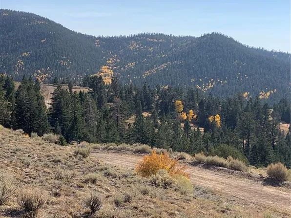 5079&5087 Delancey Road, Fort Garland, CO 81133