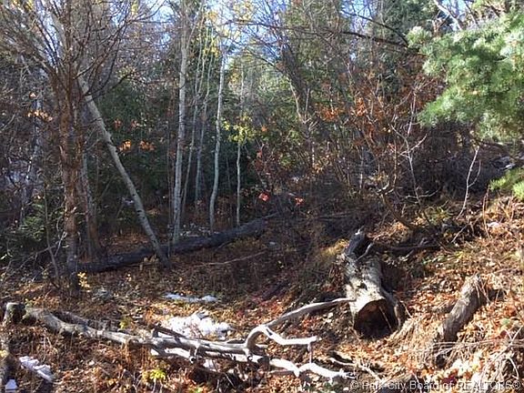 2nd image of 345 Upper Evergreen Dr