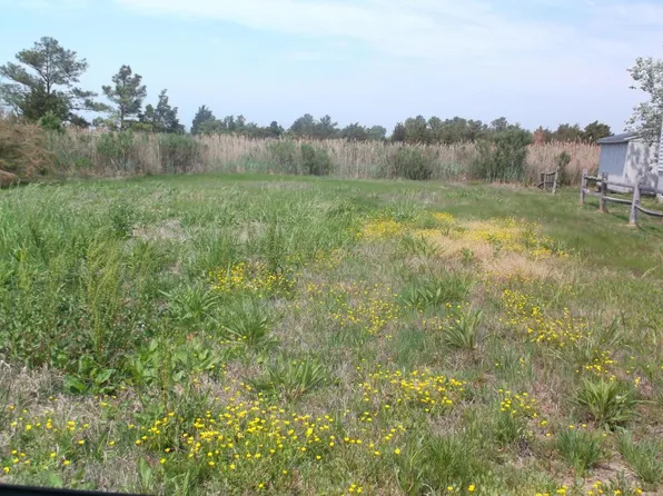 14 Walnut St, Crisfield, MD 21817