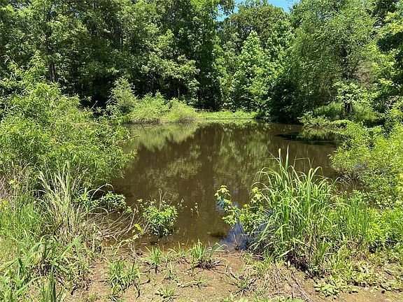 4th image of 20457 County Road 437