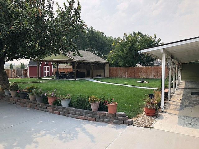 Back yard