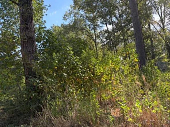 R 1 155685 Miles Rd, Lufkin, TX 75901