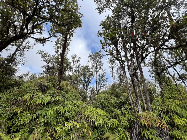 Wailele St Lot 6, Mountain View, HI 96771