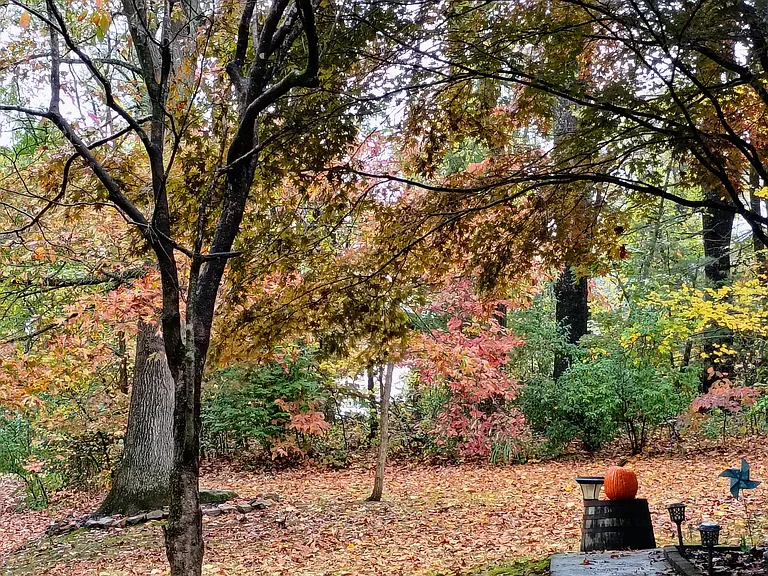 A front side view during the fall.