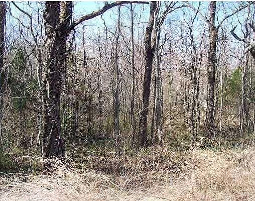 2nd image of Huckleberry Cir