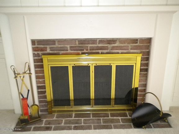 wood burning fireplace