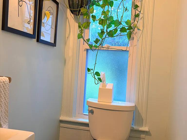 Downstairs bathroom