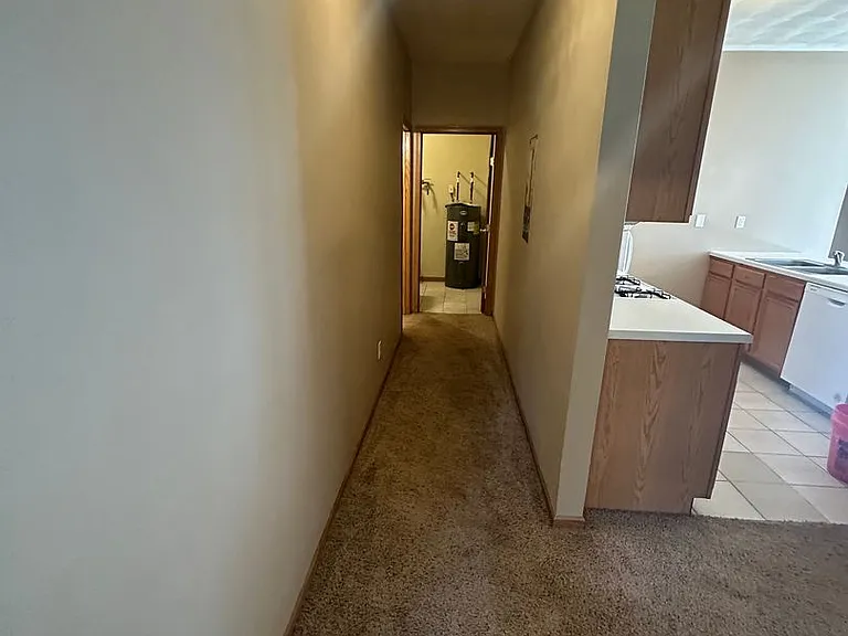10318 Metalmark Ln — Photo 5