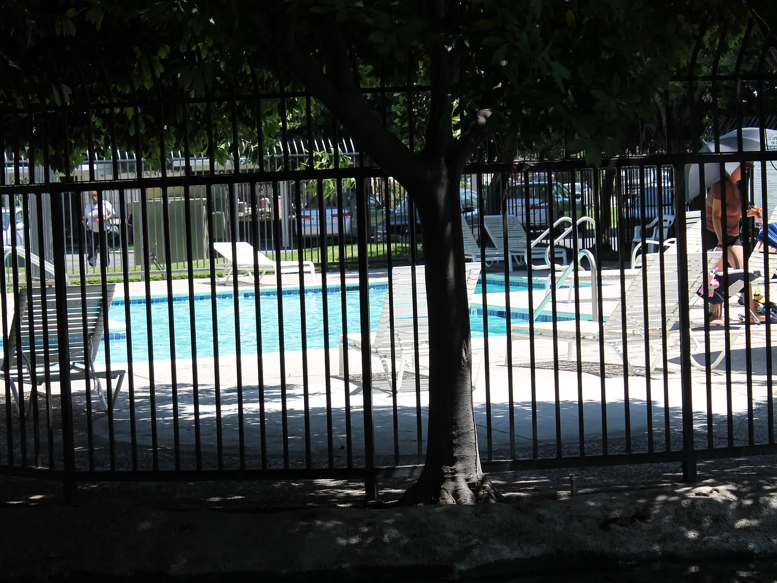 2 bed, 900 sqft, $1,650 — Photo 4