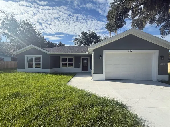 557 COUNTY ROAD 487, LAKE PANASOFFKEE, FL 33538