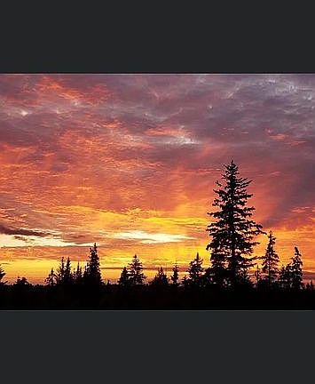 Sunsets
