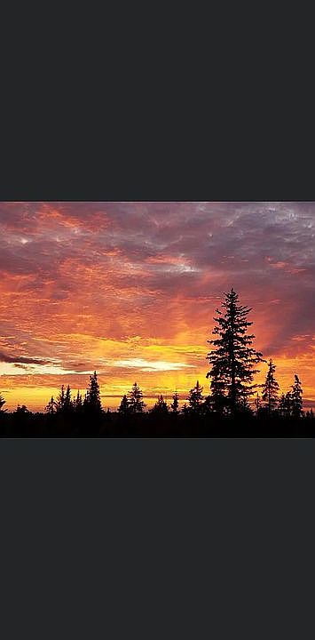 Sunsets