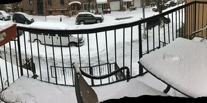 Rented by Metroline Realty | media 65