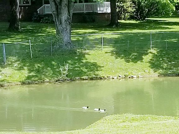 View of pond