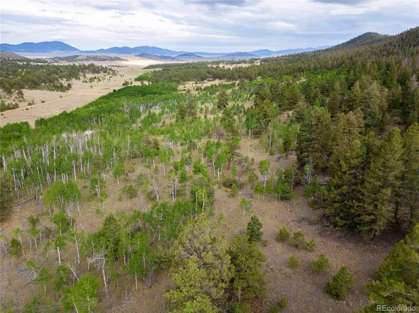 2396 Fitzsimmons Road, Hartsel, CO 80449